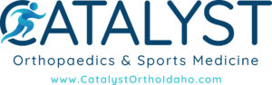 catalyst logo with web